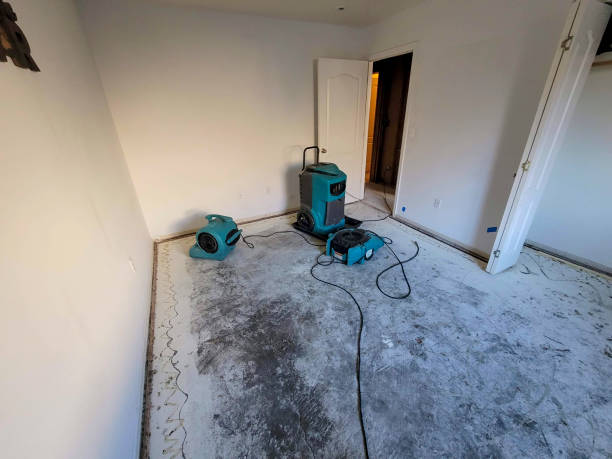 Best Odor Removal and Sanitization After Water Damage in Tulsa, OK