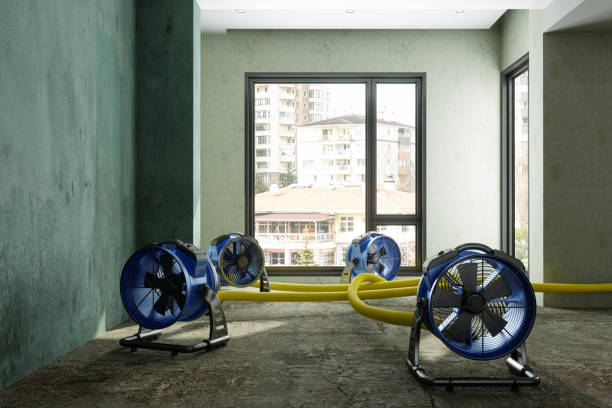 Best Ceiling and Wall Water Damage Repair in Tulsa, OK